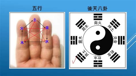 文王卦入門